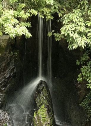  Revised Memory In Our Bones